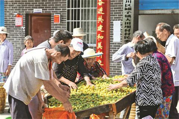 达州：把好中医药产业的“脉” 开好乡村振兴的“方”