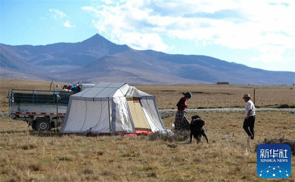 川西北藏牧民开始冬季转场