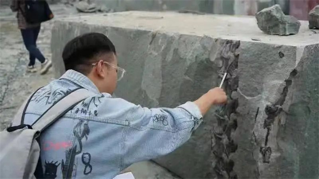 四川隆昌发现约1.6亿年前完整恐龙化石