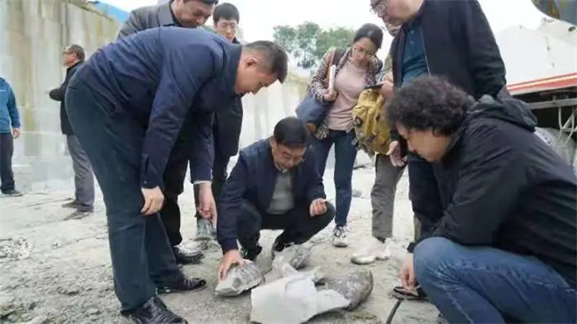 四川隆昌发现1.