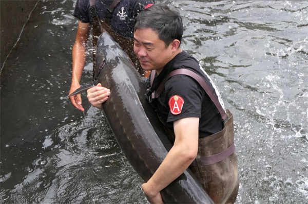 天全锚定“成渝后花园 康藏桥头堡”目标定位正屹立川西潮头