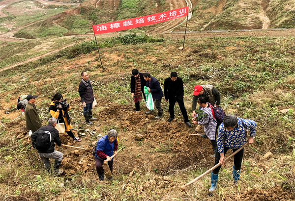 四川华蓥科技特派团助力油樟产业发展