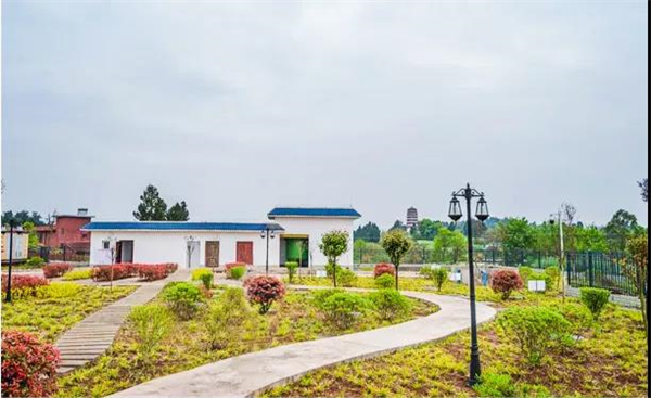 资阳雁江：做好“水文章” 办好民生事