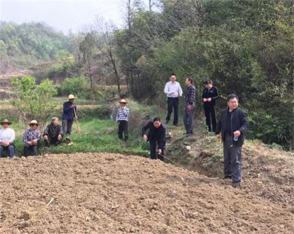 巴中巴州区梁永镇着力推进优质粮油生产示范片区建设