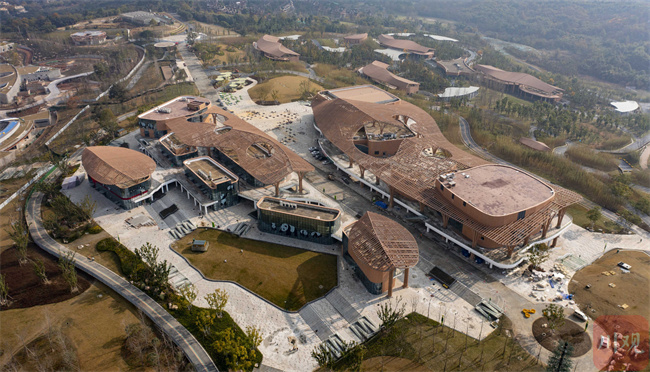 “滚滚”陆续搬新家 成都熊猫基地扩建区拟于明年初预开园