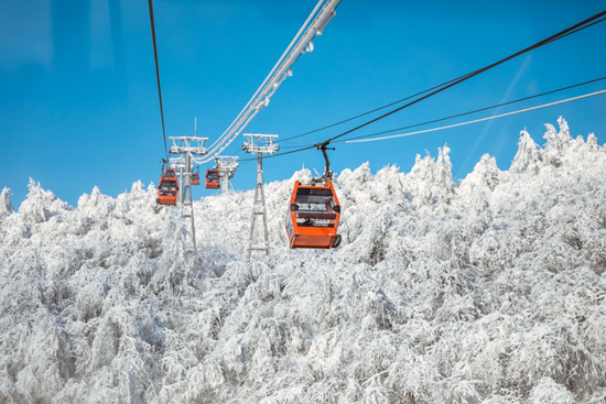 央视冬奥来了节目聚焦西岭雪山滑雪场