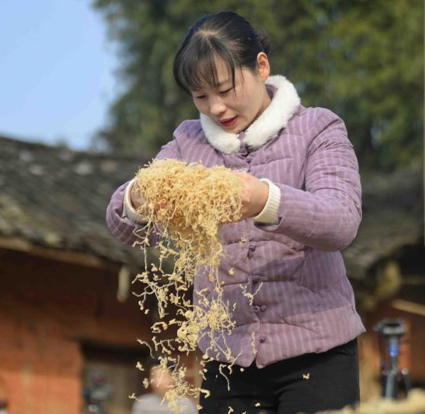 Pic Story of Rural Video Blogger in SW China\