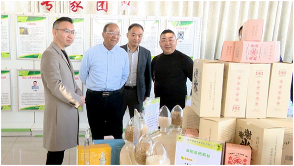渠县县委书记王飞虎陪同谢华安院士考察调研粮食生产和种业发展