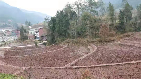 达州：李祝荣暗访督导通川区重点工作落实情况