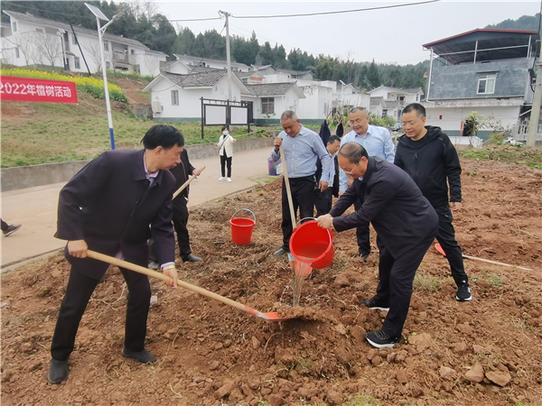 巴中：不负春日好时光 青老携手植树忙