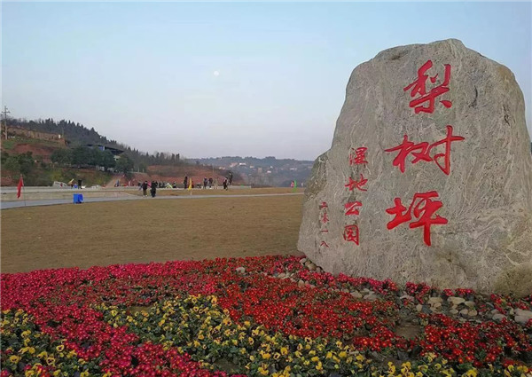 达州高新区：梨树坪湿地公园以“创文”为引持续优化公园环境