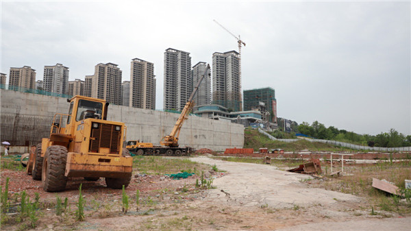 通川区覃永利赴柳家坝城市新区调研重点项目建设工作
