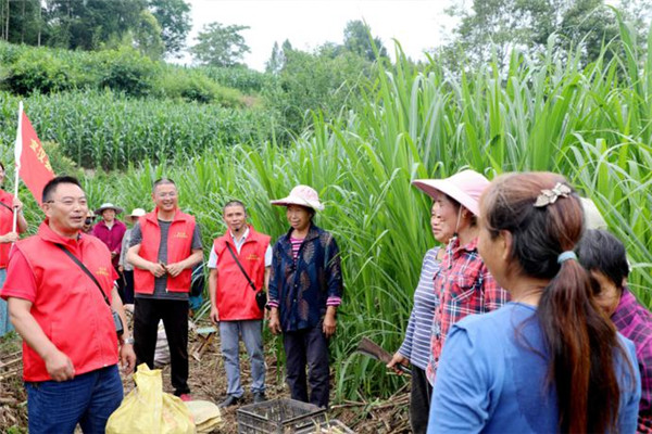 达州宣汉：400余名“小蜜蜂”宣讲员把 省第十二次党代会精神传到百姓家
