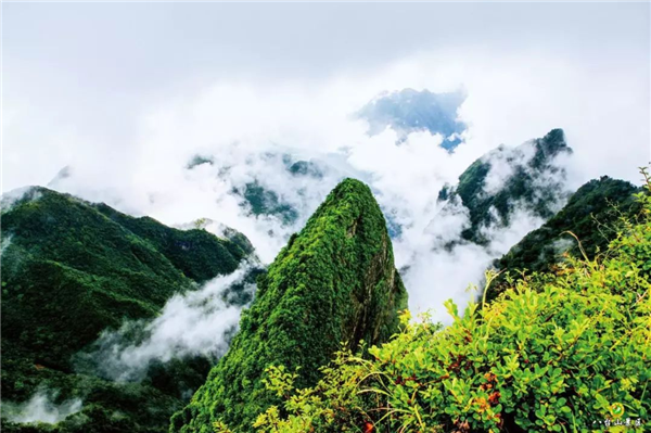 八台山--夏日避暑好去处 狂欢派对等着你